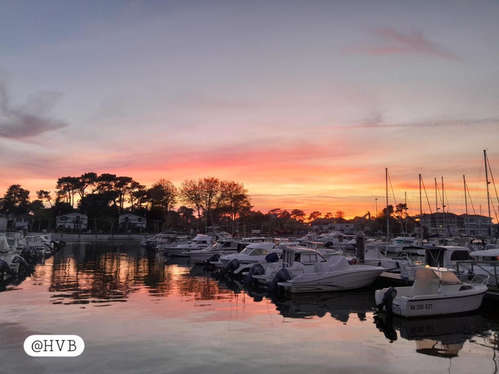 Joli 2 Pieces Sur Le Port Avec Piscine, Terrasse, Parking Leilighet Capbreton Eksteriør bilde